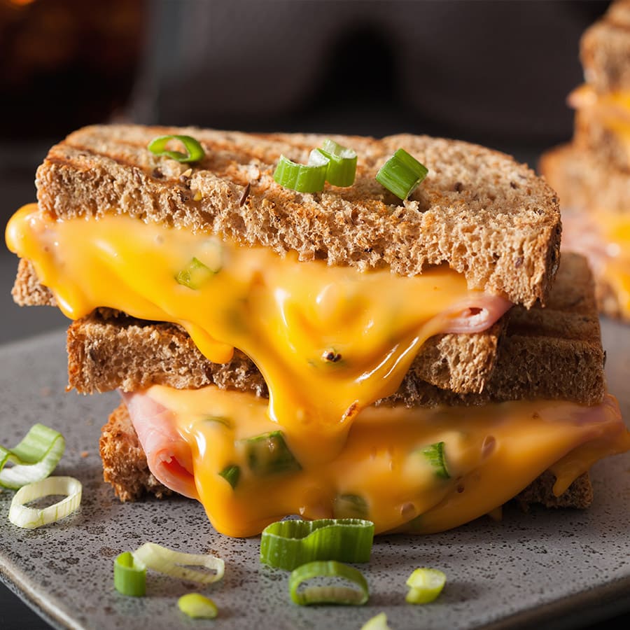 Cheese sandwich with melted cheese