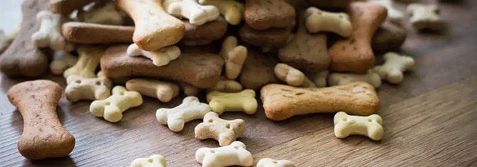 Dog biscuits