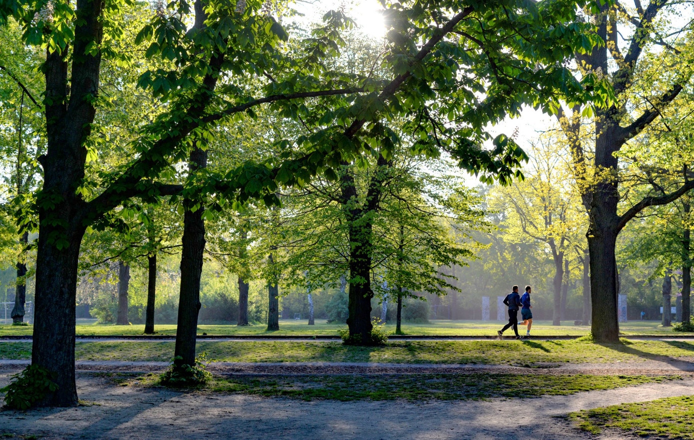 Value chain collaboration - People Running Through Park