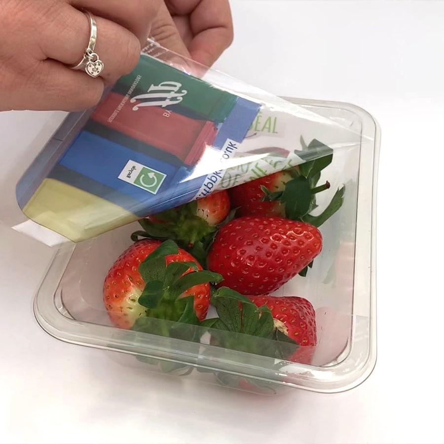 Resealable Strawberry Packaging Container