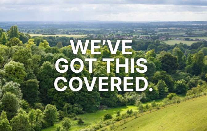 We've Got This Covered - landscape view of trees